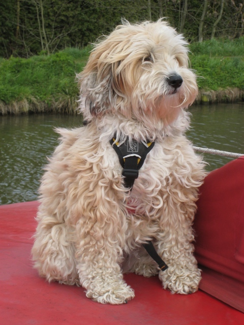 Tilly cruising